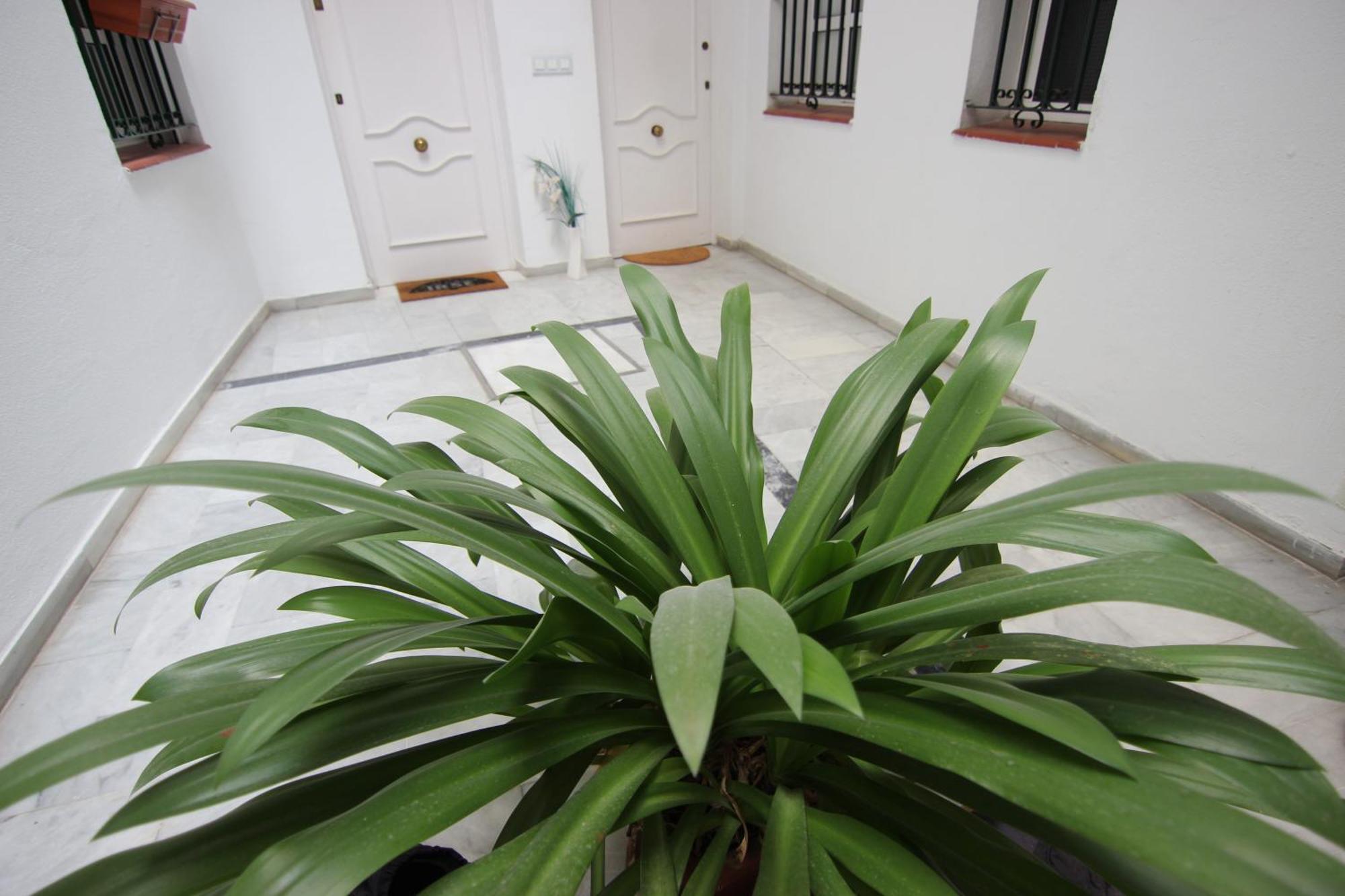 Apartamento Corazon De Triana Sevilla Bagian luar foto