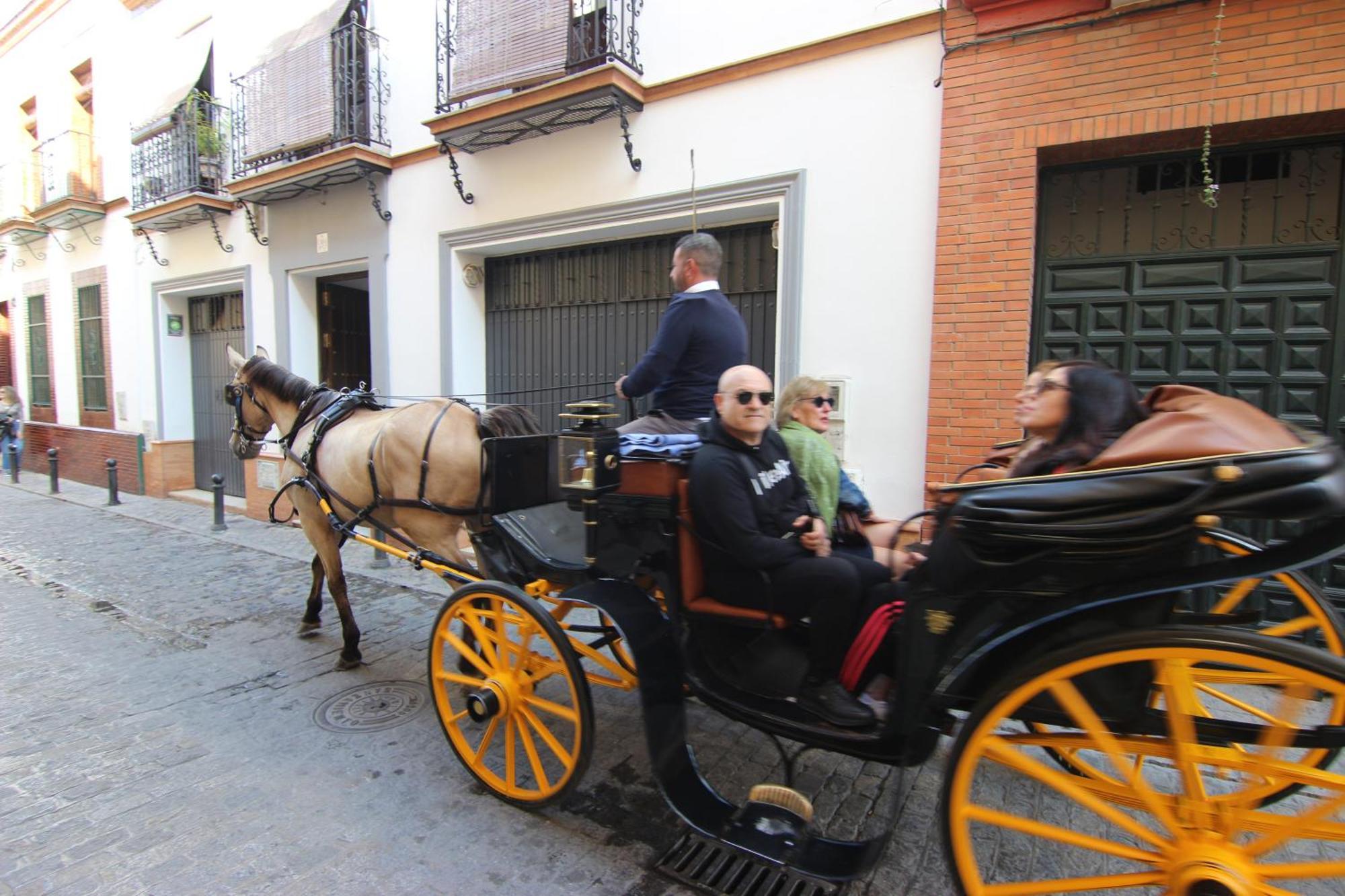 Apartamento Corazon De Triana Sevilla Bagian luar foto
